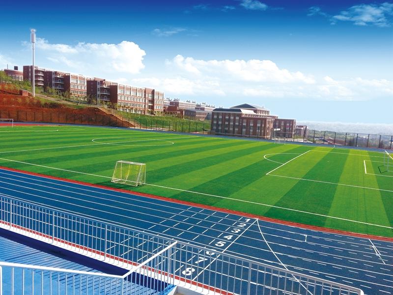 云南大學(xué)滇池學(xué)院——校園風光