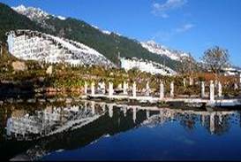 大理大學_茶花園