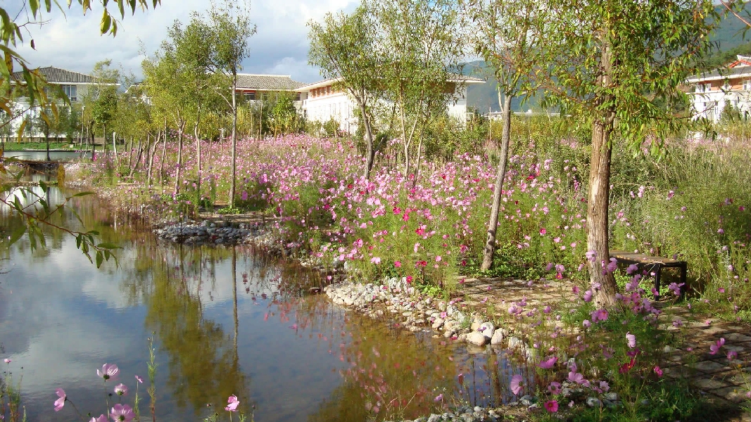 云南大學(xué)旅游文化學(xué)院——校園景觀圖(小徑)