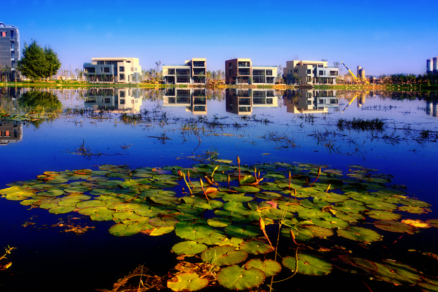 云南師范大學(xué)_北海風光